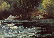 Hudson River Rapids